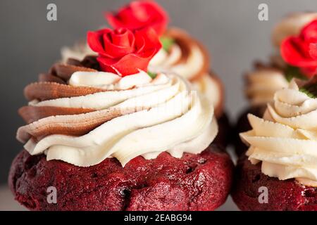 Rote Samtcupcakes zum Valentinstag mit Schokolade und Vanille Buttercreme-Vereisung Stockfoto