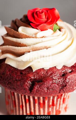 Rote Samtcupcakes zum Valentinstag mit Schokolade und Vanille Buttercreme-Vereisung Stockfoto