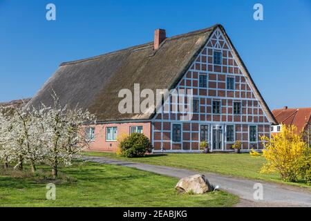 Altländer Bauernhaus, Hollern-Twielenfleth, Altes Land, Stade, Niedersachsen, Stockfoto