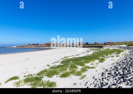 Strand, historische Pfahlschutzanlagen auf der ostfriesischen Insel Baltrum, Niedersachsen, Stockfoto