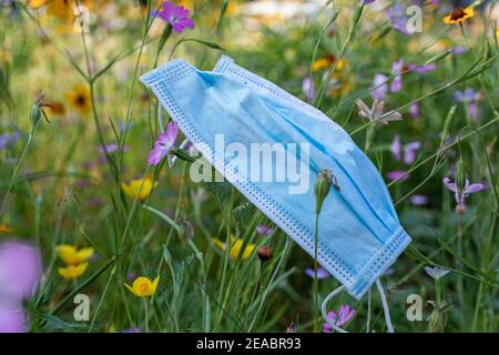 Weggeworfene Einweg-Gesichtsmaske, Blumenwiese am Wegesrand in Wilhelmshaven, Niedersachsen, Stockfoto