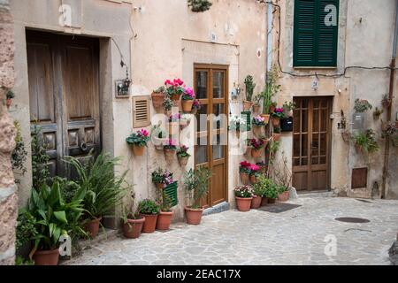 Blumentöpfe an der Wand, Valldemossa, Mallorca Stockfoto