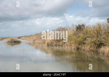 Parc Natural de s'Albufera de Mallorca Stockfoto