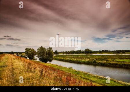Flusslandschaft, Elbtal-Aue in Niedersachsen, Deutschland, Biosphärenreservat, Deich am Radegaster Haken bei stimmungsvollem Himmel sammeln sich Wolken Stockfoto