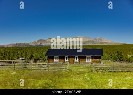 Einsame Blockhütte in Norwegen Stockfoto