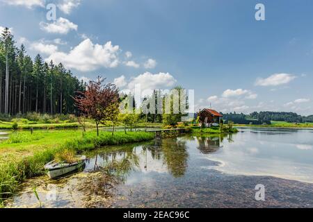 Fischteich mit Hütte im Allgäu Stockfoto