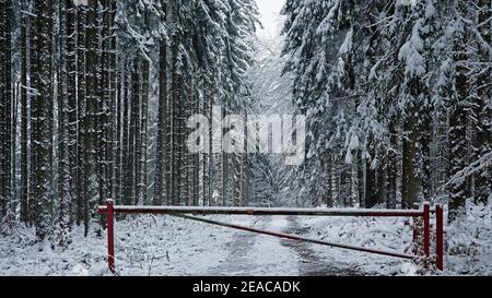 Schranke im Winterwald, Neunhäuser Wald bei Greimerath, Hochwald, Naturpark Saar-Hunsrück, Rheinland-Pfalz, Deutschland Stockfoto