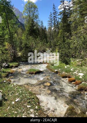 Hinterautal, Isar Herkunft, Natur, Wald, Wasser, Scharnitz, Tirol, Österreich Stockfoto