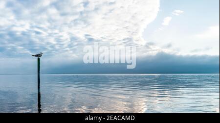 Ruhige Stimmung am Bodensee Stockfoto