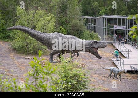 Tyrannosaurus Modell im Dinopark Münchehagen bei Hannover. Lebte in Nordamerika vor etwa 66 Millionen Jahren, war etwa 13m lang und wog 6T. Stockfoto