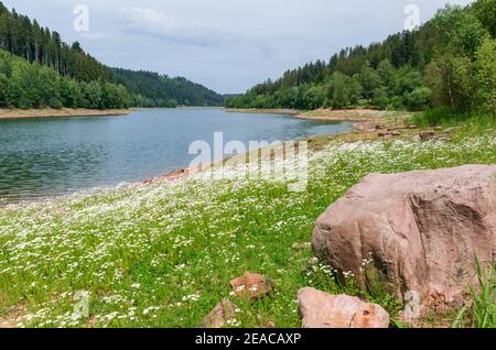 Deutschland, Baden-Württemberg, Seewald, Nagoldtalsperre in der Nähe der Erzgrube wurde der Damm zwischen 1965 und 1970 gebaut und 1971 in Betrieb genommen. Stockfoto