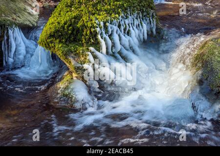 Deutschland, Baden-Württemberg, Reutlingen - Mittelstadt, Eisformationen auf einem Whirlpool in Merzenbach, moosbedeckter Stein Stockfoto