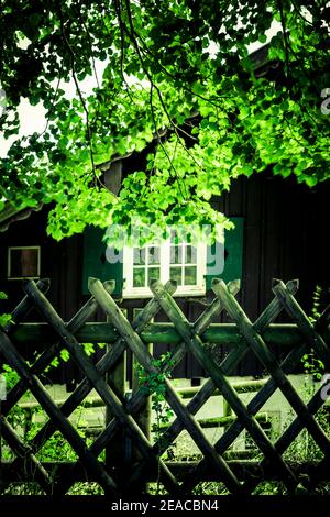 Jäger Zaun vor einem alten Holzhaus Stockfoto