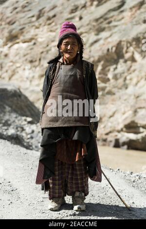 Der Zanskar Fluss im Hemis Nationalpark Stockfoto