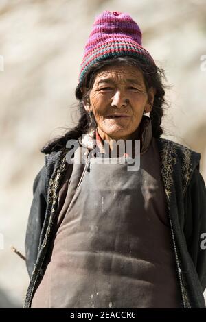 Der Zanskar Fluss im Hemis Nationalpark Stockfoto