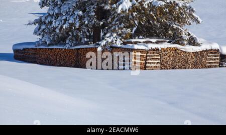 Holzstapel unter den mächtigen Ästen einer Fichte Im Winter auf den Buckelwiesen bei Mittenwald Stockfoto