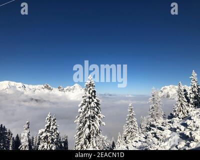 Skigebiet Rosshütte, schneebedeckte Bäume, Winter, Nebelmeer, Sonne, Berge, Alpen, Seefeld in Tirol, Österreich Stockfoto