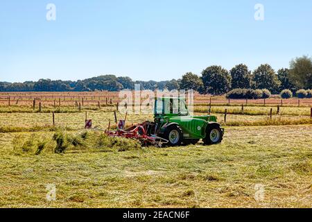 Traktor mit einem Zettwender auf dem Feld Stockfoto
