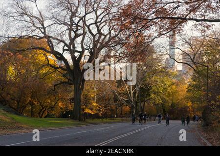 Central Park im Herbst, Stockfoto