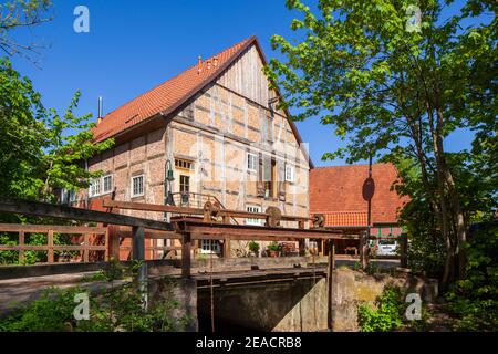 Wassermühle im Frühjahr, Fischerhude, Niedersachsen, Deutschland, Europa Stockfoto