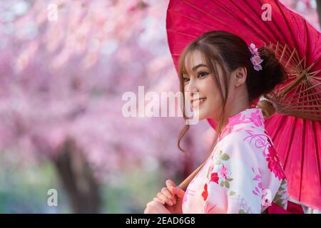 Frau in Yukata (Kimono-Kleid) Halten Regenschirm und suchen Sakura Blume oder Kirschblüte blühen Im Garten Stockfoto