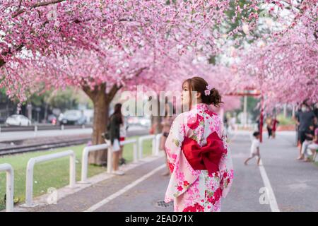 Frau in Yukata (Kimono-Kleid) Im Garten blühende Sakura-Blüte oder Kirschblüte Stockfoto