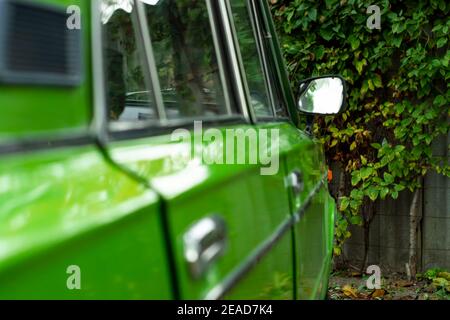 Liana auf dem Zaun im Hintergrund. Und im Vordergrund ist ein grünes Auto im Unfokus. Stockfoto