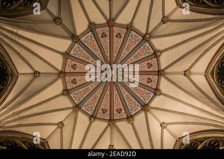 York Minster Chapter House Ceiling in York, Yorkshire, England, Großbritannien. Stockfoto