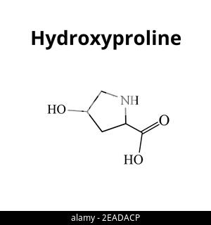 Aminosäure Hydroxyprolin. Chemische Molekülformel Hydroxyprolin Aminosäure. Vektorgrafik auf isoliertem Hintergrund Stock Vektor