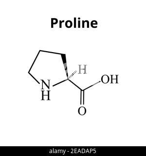 Aminosäure Prolin. Chemische molekulare Formel Prolin Aminosäure. Vektorgrafik auf isoliertem Hintergrund Stock Vektor