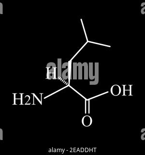Aminosäure Leucin. Chemische molekulare Formel von Aminosäure Leucin. Vektorgrafik auf isoliertem Hintergrund Stock Vektor