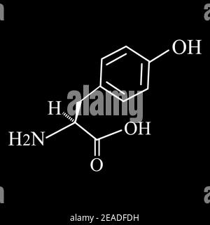 Die Aminosäure Tyrosin. Chemische molekulare Formel von Tyrosin Aminosäure. Vektorgrafik auf isoliertem Hintergrund Stock Vektor