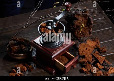 Mahlen von natürlichen Chaga-Pilzstücken mit alter Vintage-Kaffeemühle (Mühle) auf dunklem Holzhintergrund. Ein Haufen gehackter Chaga-Pilze in einem Stb Stockfoto