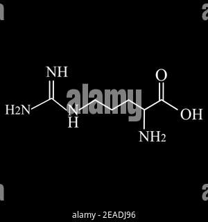 Arginin-Aminosäure. Chemische molekulare Formel Arginin Aminosäure. Vektorgrafik auf isoliertem Hintergrund Stock Vektor