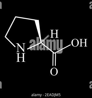 Aminosäure Prolin. Chemische molekulare Formel Prolin Aminosäure. Vektorgrafik auf isoliertem Hintergrund Stock Vektor