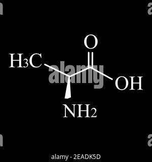 Alanin ist eine Aminosäure. Chemische molekulare Formel Alanin Aminosäure. Vektorgrafik auf isoliertem Hintergrund Stock Vektor