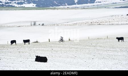 Brighton UK 9th February 2021 - EIN Radfahrer kommt am Devils Dike auf dem South Downs Way nördlich von Brighton vorbei, da einige Teile Großbritanniens den kältesten Wintertag bisher erleben : Credit Simon Dack / Alamy Live News Stockfoto