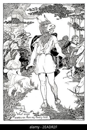 Ill1025 Midsummer Night’s Dream, Nick Bottom Illustration von John Thirtle of Ewell, Surrey, 1898 Band 13 des Studio an Illustrated Magazine of Stockfoto