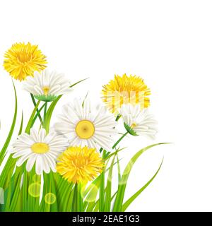 Frischer Frühling saftige Kamille und Löwenzahn Blumen und grünes Gras, Vektor, Vorlage, Illustration, isoliert Stock Vektor