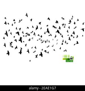 Eine große Schar fliegender Vögel. Vektorgrafik Stock Vektor