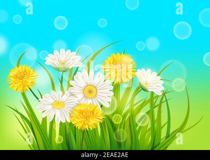 Frühling Gänseblümchen und Löwenzahn Hintergrund frisches grünes Gras, angenehm saftige Frühlingsfarben, Vektor, Illustration, Vorlage, Banner, isoliert Stock Vektor