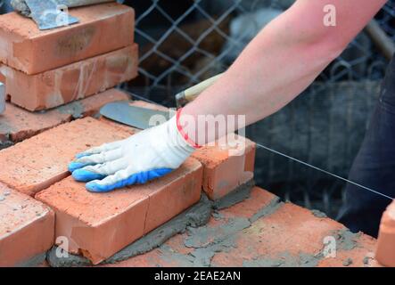 Ein Bauunternehmer in Schutzhandschuhen legt Ziegel mit einer Maurerlinie, Spaten Kelle und Mörtel, um eine Wand eines neuen Hauses zu bauen. Stockfoto