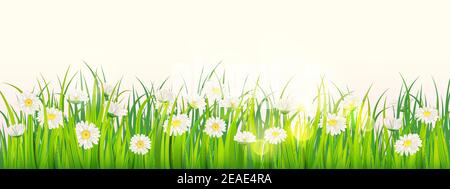 Vorlage Hintergrund Frühlingsfeld von Blumen von Gänseblümchen und grünem saftigem Gras, Wiese, blauer Himmel, weiße Wolken. Vektor, Illustration, isoliert, Banner Stock Vektor