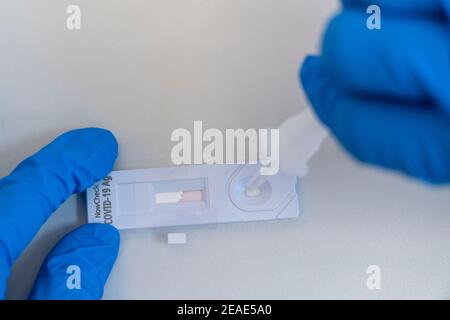 Covid-19 Schnelltest, Antigentest, der Abrieb des Tupfers wird in einer Flüssigkeit gelöst und auf das Testgerät aufgetragen, nach ein paar Minuten der Test devi Stockfoto