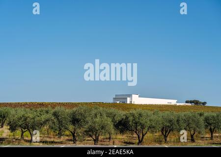 7. Oktober 2020 - Campo Maior, Portugal: Weinhaus namens Adega Mayor in Alentejo Stockfoto