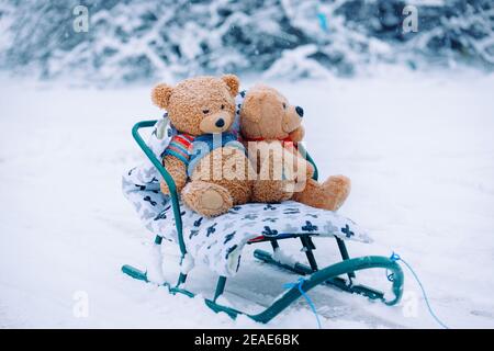 Zwei tolle Teddybären Rodeln im Winterschnee. Weiße Naturlandschaft, schneebedeckter Hintergrund mit leerem Seitenraum für Sie Werbung Stockfoto