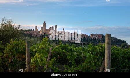 Blick auf San Gimignano mittelalterliche Stadt auf einem Hügel bei Sonnenuntergang, umgeben von kultivierten Feldern von Weinbergen typisch für die Weinregion der Toskana, CE Stockfoto