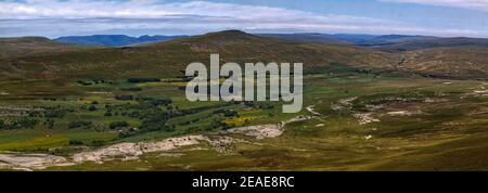 Weite Panoramaaussicht von Ingleborough über das Ribble Tal zum Whernside Berg, mit blühenden Heuwiesen und Ribblehead Viadukt Stockfoto