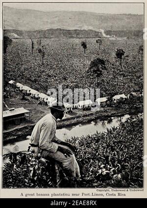 Vintage-Foto einer großen Bananenplantage in der Nähe von Port Limon, Costa Rica. Stockfoto