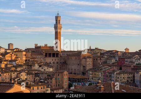Siena Altstadt bei Sonnenaufgang, eine mittelalterliche und Renaissance-Stadt in der Toskana, Italien, mit Mangia Turm, Kirche, alte Häuser und Paläste auf einem grünen Hügel Stockfoto